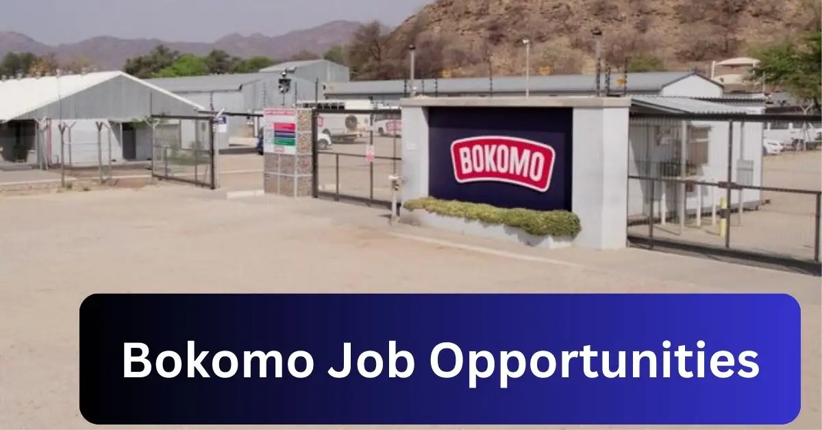 x7 Bokomo Vacancies 2025 Opportunities @bokomonamibia.com.na Recruitment Portal