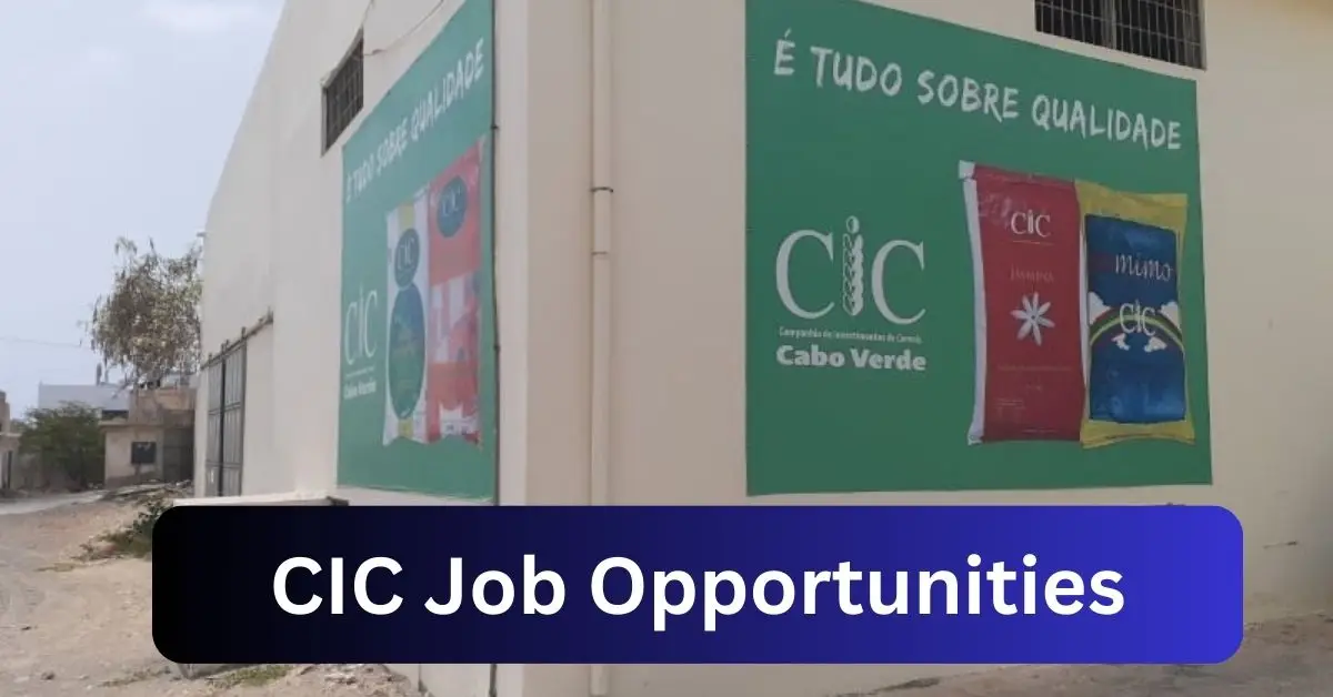 x1 CIC Vacancies 2024 Opportunities @www.cic.com.na Recruitment Portal