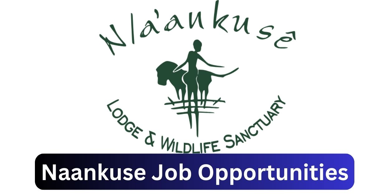 x3 Naankuse Vacancies 2025 Opportunities @www.naankuse.org Recruitment Portal