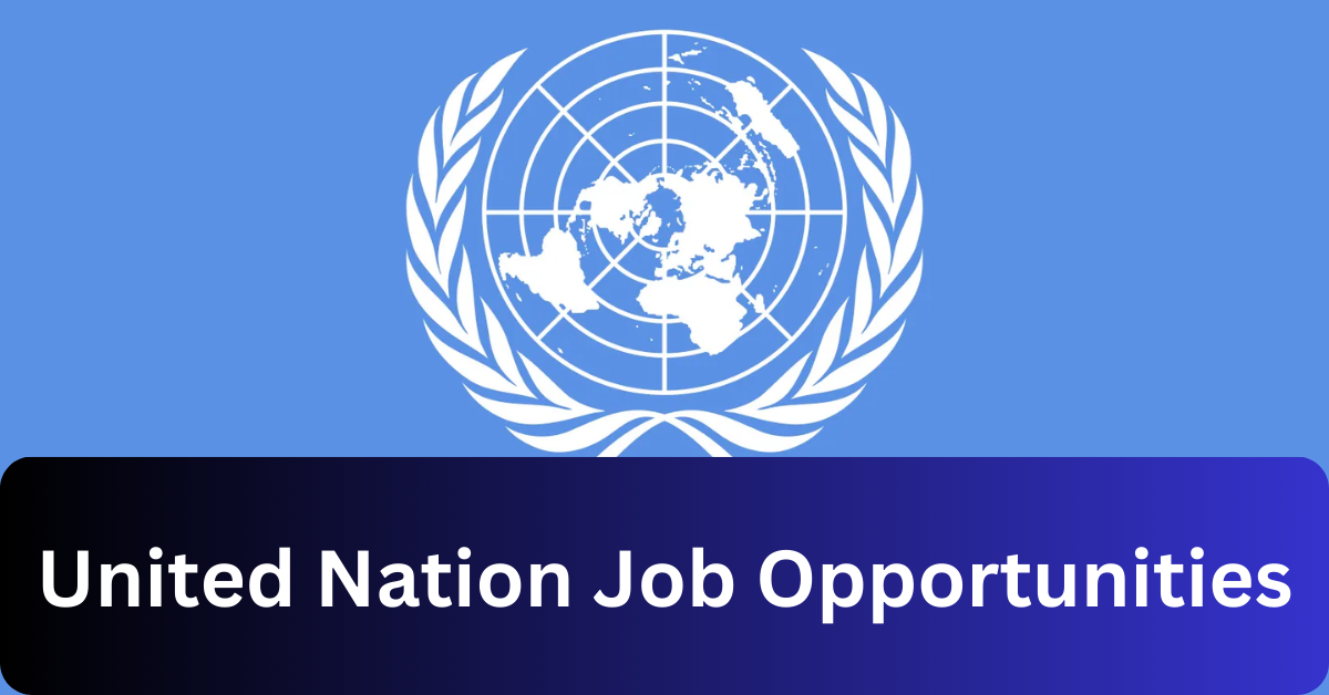 x1 United Nation Vacancies 2024 Opportunities @namibia.un.org Recruitment Portal