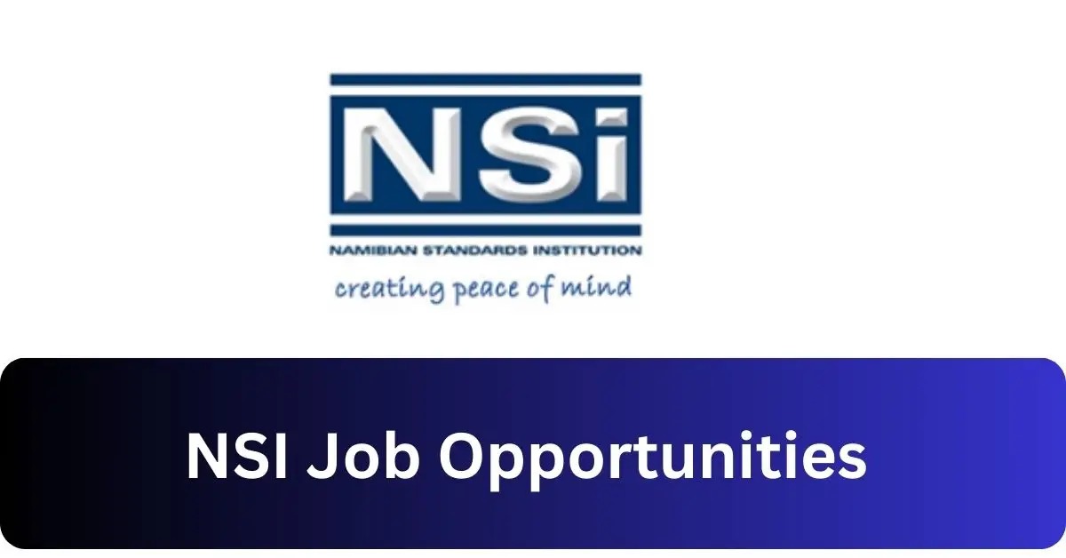 x2 NSI Vacancies 2025 Opportunities @www.nsi.com.na Recruitment Portal